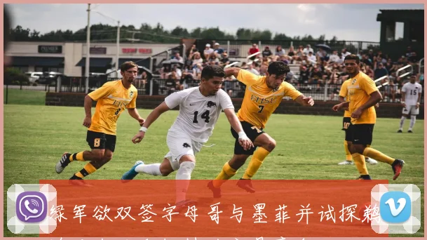 绿军欲双签字母哥与墨菲并试探鹈鹕对杰伦和怀特的交易意向